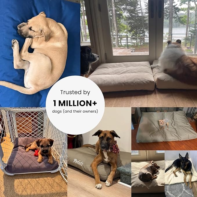 K9 Ballistics Tough Rectangle Pillow XL Extra Large Dog Bed - Removable Cover, Washable, Durable & Water Resistant Dog Bed Made for Big Dogs 54"x38", Obsidian Black