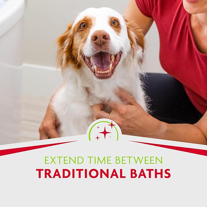 FURminator Tub-Free Deshedding Foam Comb, 3 Ounces, Grooming Comb for Dogs Helps Freshen Coat and Reduce Odors with No Rinsing