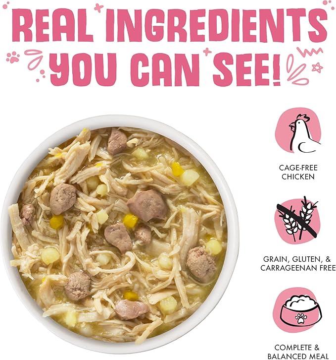 Weruva Classic Dog Food, Amazon Livin' with Chicken Breast & Chicken Liver in Pumpkin Soup, 14oz Can (Pack of 12)