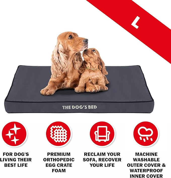 The Dog’s Bed Orthopedic Dog Bed, Large Grey with Black Trim, Waterproof, Supportive Dog Bed with Washable Replaceable Covers