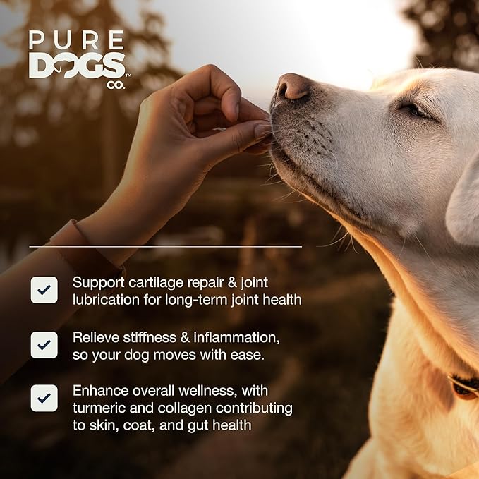Pure Dogs Hip & Joint Dog Chews - Glucosamine Chondroitin & Green Lipped Mussel for Joint Pain Relief, Function & Mobility, Gut & Digestive Support - for Large & Small Breeds - 90 Chews