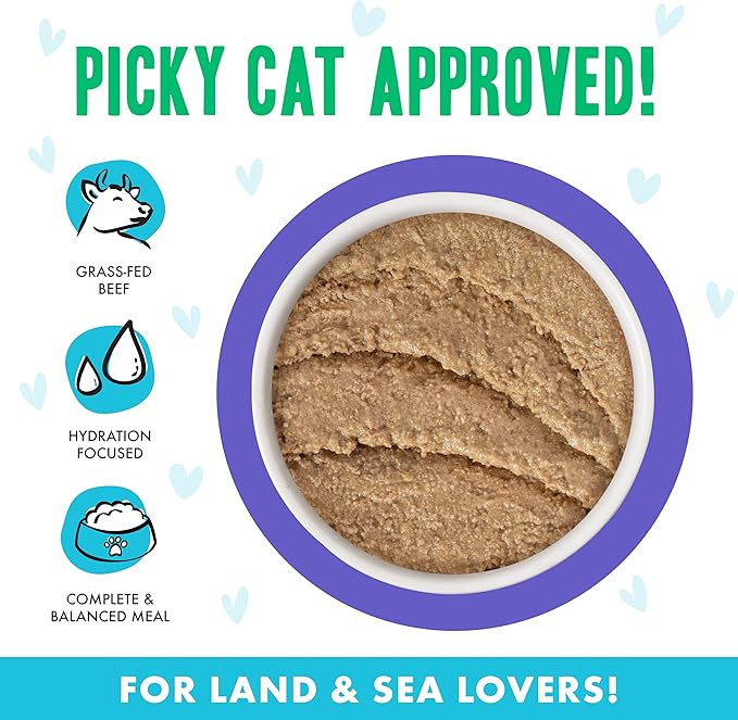 Weruva B.F.F. Play - Best Feline Friend Paté Lovers, Aw Yeah!, Beef & Tuna Tic TOC with Beef & Tuna, 5.5oz Can (Pack of 8)