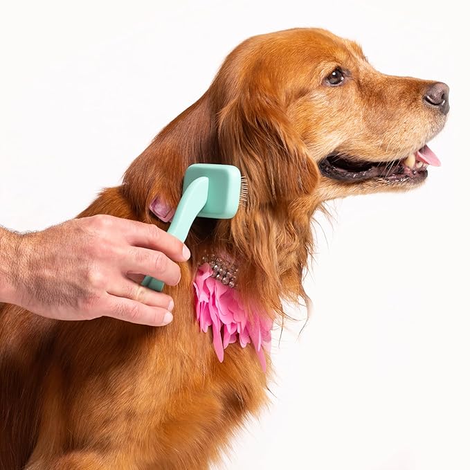 Dog Grooming Slicker Wire Brush: Designed for Long Haired Dog Breeds - Dematting and Deshedding, Comfortable and Easy to Use, Ergonomic Handle - Small (Teal, Small)