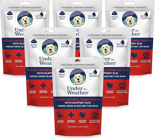 Under the Weather Bland Diet for Dogs | Easy to Digest Stomach Support for Sick Dogs | Contains Electrolytes, All Natural | 6 Pack - Turkey, Oatmeal, Sweet Potato & Slippery Elm - 6oz