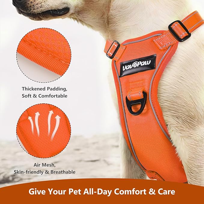 Dog Seat Belt Harness for Car, Dog Car Harness Adjustable Mesh Breathable & Dogs Seatbelt Safety Tether with Elastic Bungee for Small Medium Large Pets(Orange, M)