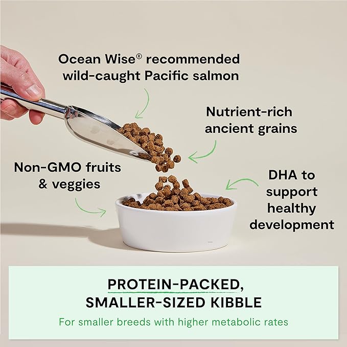 Open Farm, Ancient Grains Dry Dog Food for Puppies, Protein-Rich & Nutrient Dense, 90% Animal Protein Mixed with Non-GMO Fruits, Veggies and Superfoods, Salmon Recipe for Puppy, 22lb Bag