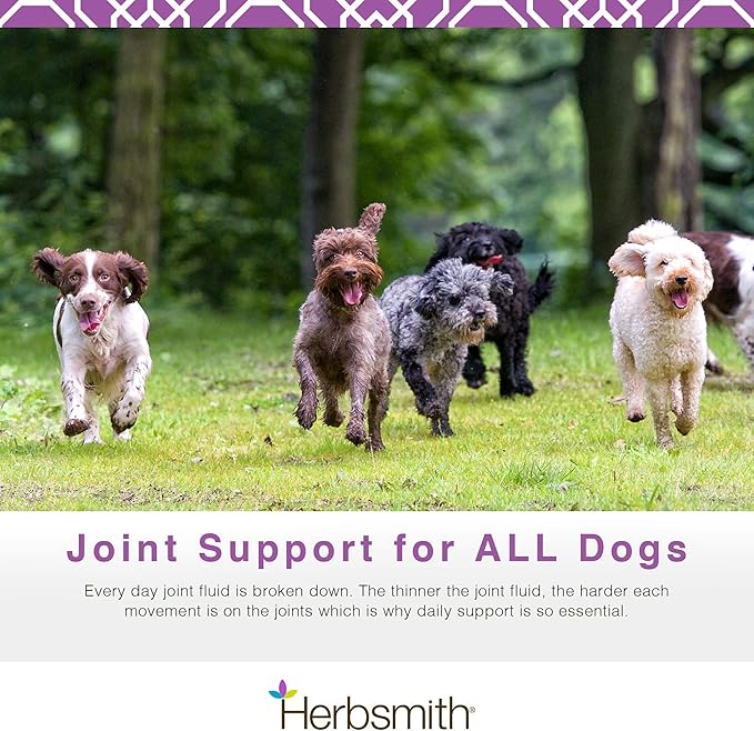 Herbsmith Sound Dog Viscosity – Advanced Joint Support for Dogs – Veterinarian Recommended Glucosamine for Dogs, Hyaluronic Acid, Chondroitin, MSM – 150g Powder