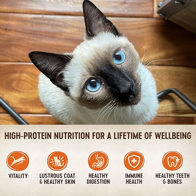 Wellness CORE Tiny Tasters Pate Adult Wet Cat Food, Natural, Protein-Rich, Grain Free, 1.75-Ounce Pouch, 12 Pack, (Land Variety Pack)