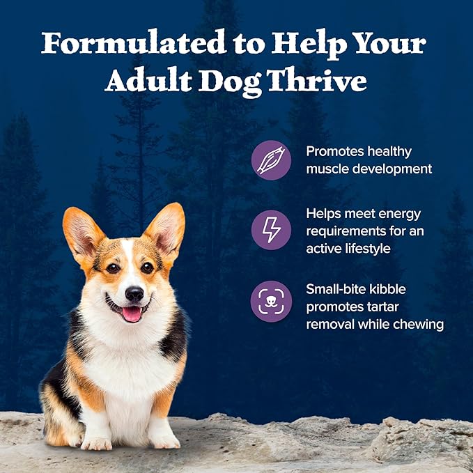 Blue Buffalo Wilderness High-Protein Small-Bite Dry Dog Food for Adult Dogs, Made in The USA with Natural Ingredients Plus Wholesome Grains, Chicken, 24-lb Bag