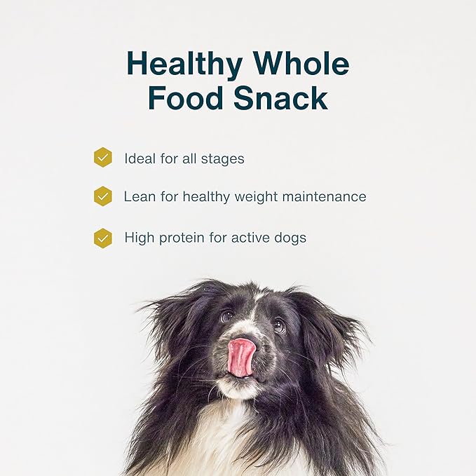 JustFoodForDogs Single-Ingredient Healthy Dog Treats, Beef Brisket, Made in The USA, 5 oz