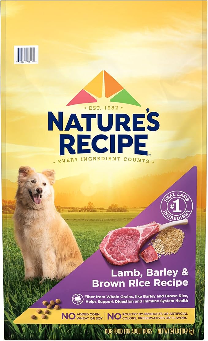 Nature′s Recipe Lamb, Barley & Brown Rice Recipe Dry Dog Food, 24 lb. Bag