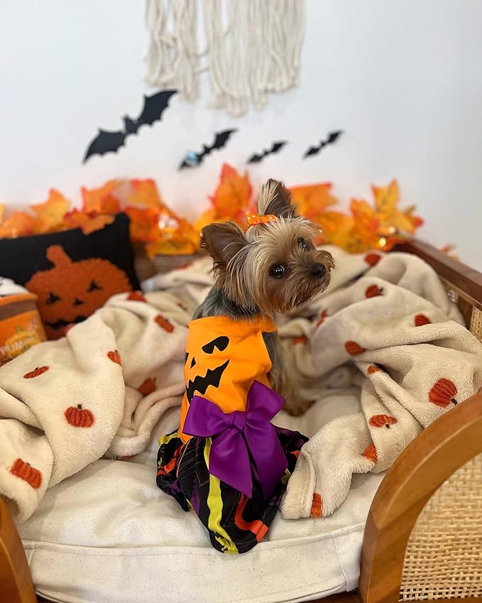 Fitwarm Halloween Pumpkin Dog Dress, Funny Dog Halloween Costumes, Doggy Clothes for Small Dogs Girl, Pet Apparel, Orange, Black, Purple, Medium
