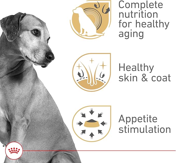 Royal Canin Canine Health Nutrition Mature Adult In Gel Canned Dog Food, 13.5 oz can (12-count)