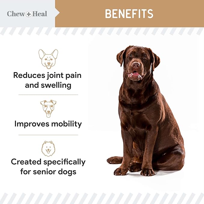 Glucosamine for Dogs Hip and Joint Supplement - 120 Soft Chews for Senior Dogs with Glucosamine, Chondroitin, MSM, and Omegas - for Mobility, Cartilage, and Joint Health - Peanut Butter Flavor