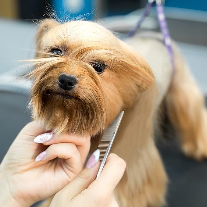 Chris Christensen 5in Face and Feet Fine/Coarse Butter Comb, Groom Like a Professional, Rounded Corners Prevent Friction and Breakage, Solid Brass Spin with Steel Teeth, Chrome Finish