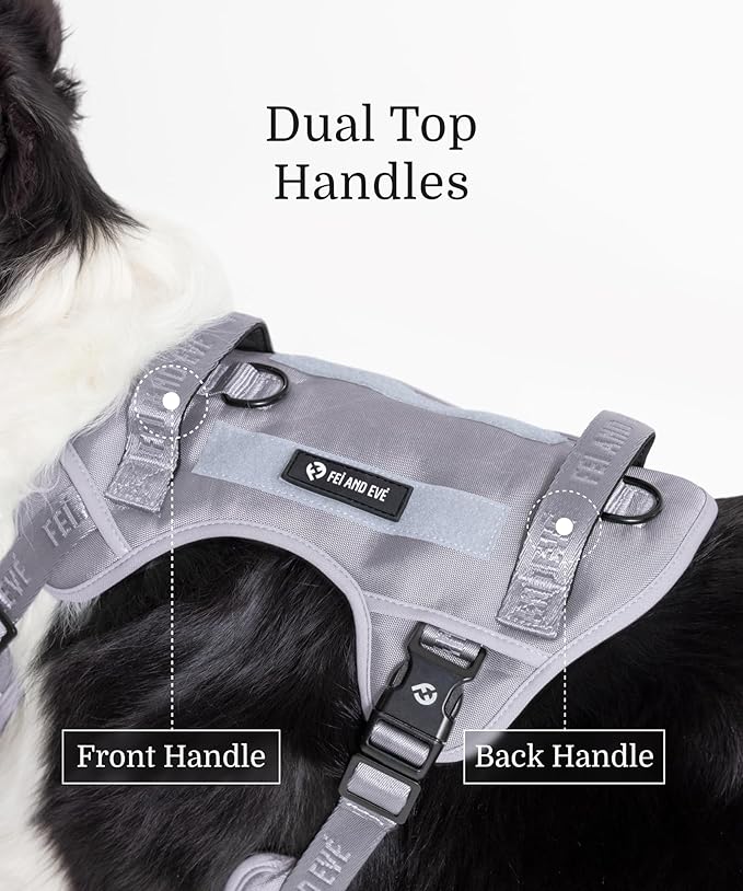 2025 New Edition, Fei & Eve Classic Dog Harness - Quick-Release Buckles | 3-Point No-Pull Control | Heavy-Duty 900D Nylon | Dual Safety Handles | Breathable Mesh | Adjustable Fit | Large,Gray