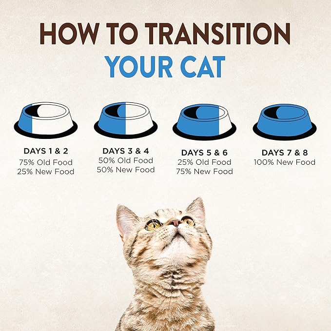 Wellness CORE Signature Selects Shredded Adult Wet Cat Food, Natural, Protein-Rich, Grain Free, 5.3 Ounce, 12 Pack (Chicken & Chicken Liver)