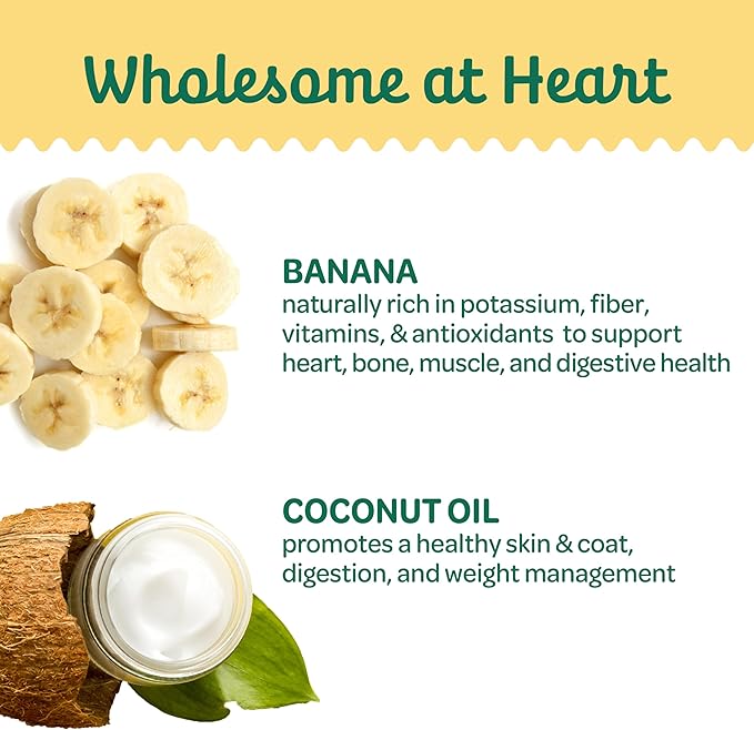 Wholesome Pride Banana Bites Dog Treats, 2 Ingredients – Bananas & Coconut Oil, Grain-Free, 16oz