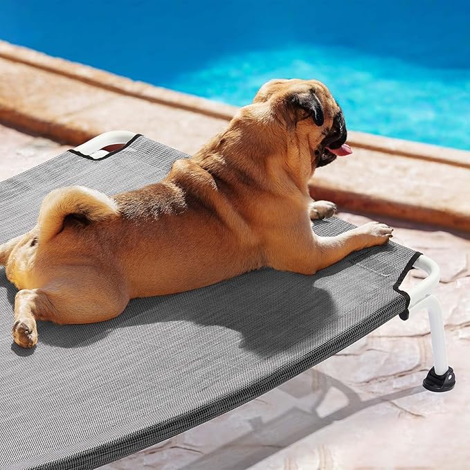 Veehoo Elevated Dog Bed for Outdoor, Cooling Waterproof Raised Dog Cots Beds for Medium Dogs, Curved Off Ground Pet Hammock Cot Lifted for Outside, up to 65lbs, White Legs, Black Silver 32"