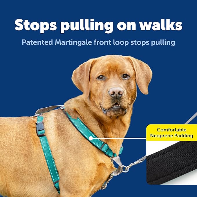 PetSafe 3-in-1 Harness - Comfortable Easy-Walk Dog Chest Harness with Front Leash Attachment to Reduce Pulling, Choking & Gagging - Dog Obedience Gear - Large- Teal