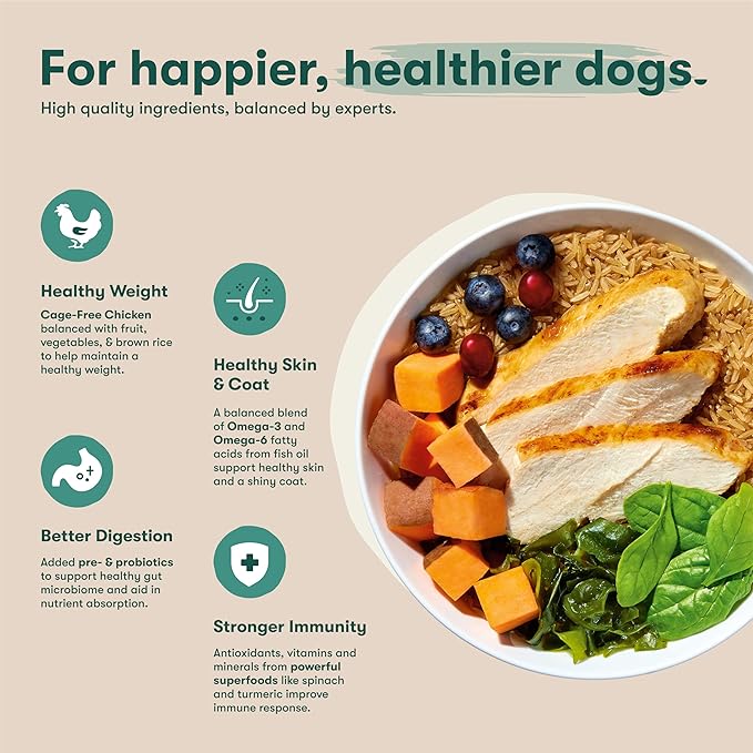 Jinx Premium Dry Dog Food, Puppy - Real Chicken, Brown Rice & Sweet Potato Kibble for Puppies with DHA, Protein & Calcium for Brain Health - Probiotics for Digestive Support - No Fillers - 4lb