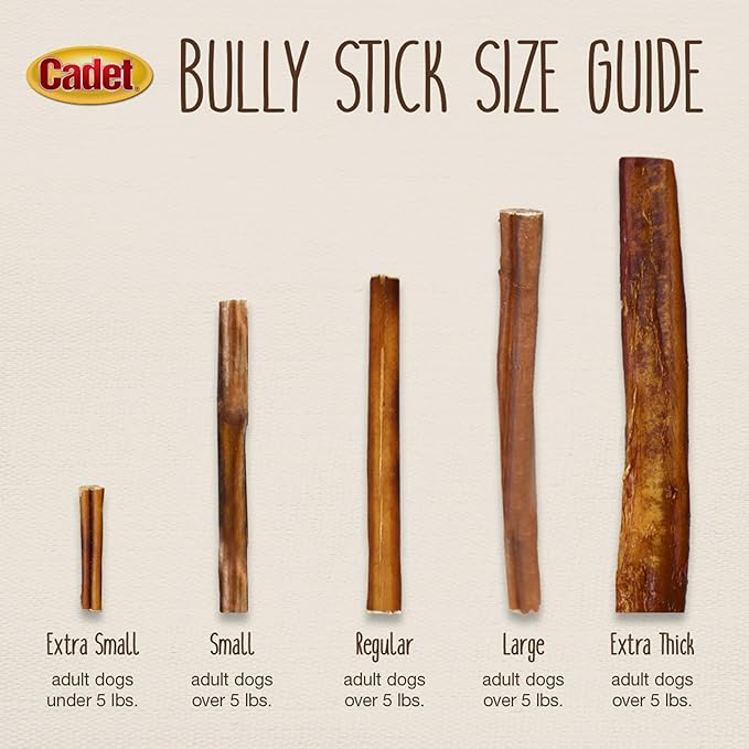 Cadet Bully Sticks for Small Dogs – All-Natural Beef Pizzle, High Protein, Low Fat, Long-Lasting, Grain & Rawhide-Free Dog Chews for Aggressive Chewers, Small (50 Count)