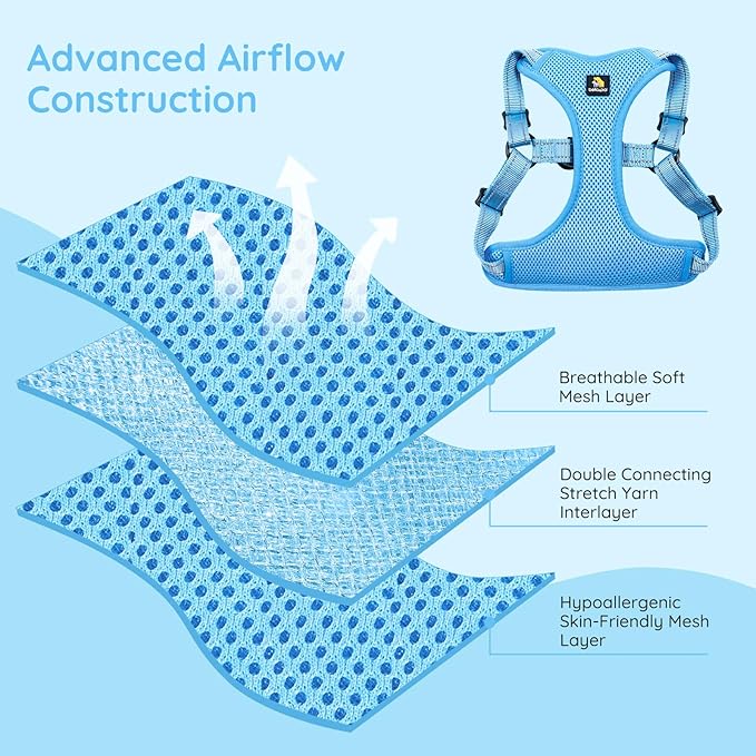 BELLA & PAL Adjustable Step-in Dog Harness, Puppy No-Pull Vest with Leash Set for XS/Small & Medium Dog, Breathable All-Weather Mesh, Reflective Strip, Secure Hook & Loop, Buckle Closure, Dual D-Rings