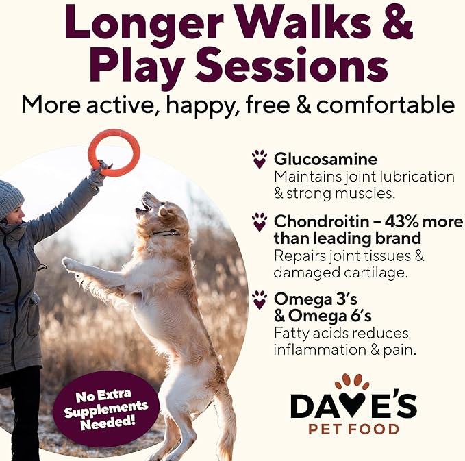 Dave's Pet Food Glucosamine Chondroitin for Dogs, Hip and Joint Support, Gluten-Free, Wet Senior Dog Food, 13.2 oz (Case of 12)