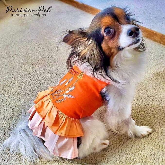 Parisian Pet Dog Dress - Color Block Dog Summer Dress - Lightweight Dog Clothes - Sleeveless Dog Frock - Dog Beach Outfit - Machine Washable Dog Dresses for Large Dogs Girl 2XL