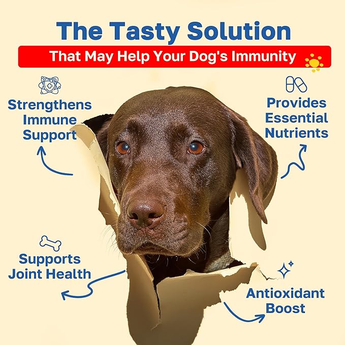 Happy Paws Immunity Supplement for Dogs, Daily Wellness & Immune Support for All Breeds & Ages, Made with Turmeric, Colostrum & Turkey Tail Mushrooms, Pumpkin Flavor, Organic, Non GMO, 200 Soft Chews