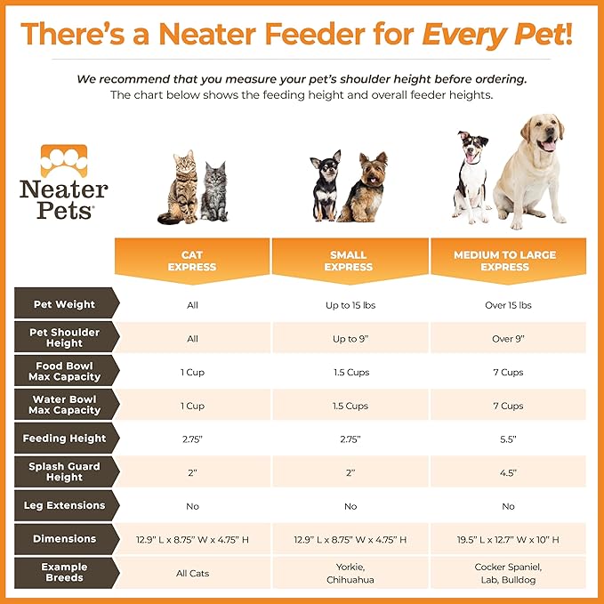 Neater Feeder Express Mess Proof Dog Bowls Elevated for Medium to Large Sized Breed, No Spill Raised Dog Food Bowl Stand, Stainless Steel Food and Water Bowl Set, Pet Dish Feeding Station, Almond