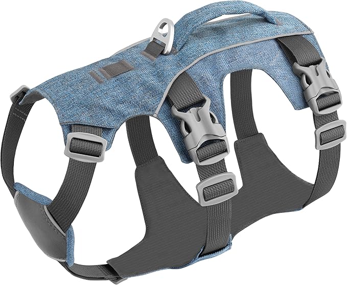 Escape Proof Dog Harness Small Sized Dog, Reflective No Pull Dog Vest with Handle, Lightweight Full Body Pet Harness Adjustable for Walking,Training(Blue,Chest:16-27")