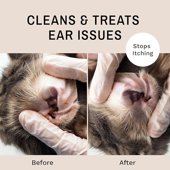 Eye Envy Fresh Ear Cleaning Wipes for Cats. Made in The USA from Natural Ingredients. Unscented. Prevents Infections. Safe and Non-Irritating. Removes Dirt, Debris, and Wax buildup. 60 Count.