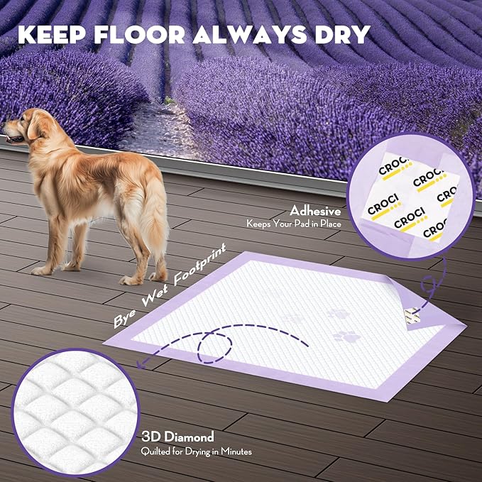 CROCI Dog Pads Extra Large 36x36in, Puppy Pads with Adhesive Tabs Super Absorbent Up to 11 Cups, Disposable (100 Counts)