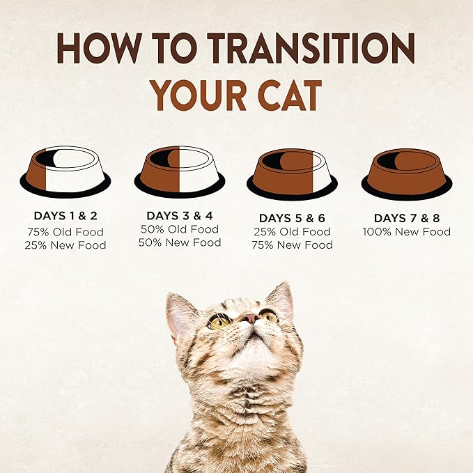 Wellness CORE Signature Selects Shredded Adult Wet Cat Food, Natural, Protein-Rich, Grain Free, 5.3 Ounce, 12 Pack (Chicken & Turkey)