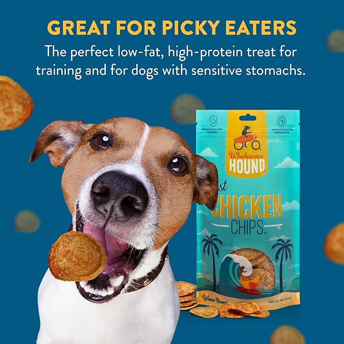 Just Chicken Chips | Premium Single Ingredient & Healthy Dog Treats | All Natural | Training Treats for Small to Large Dogs | Made in USA - 8oz