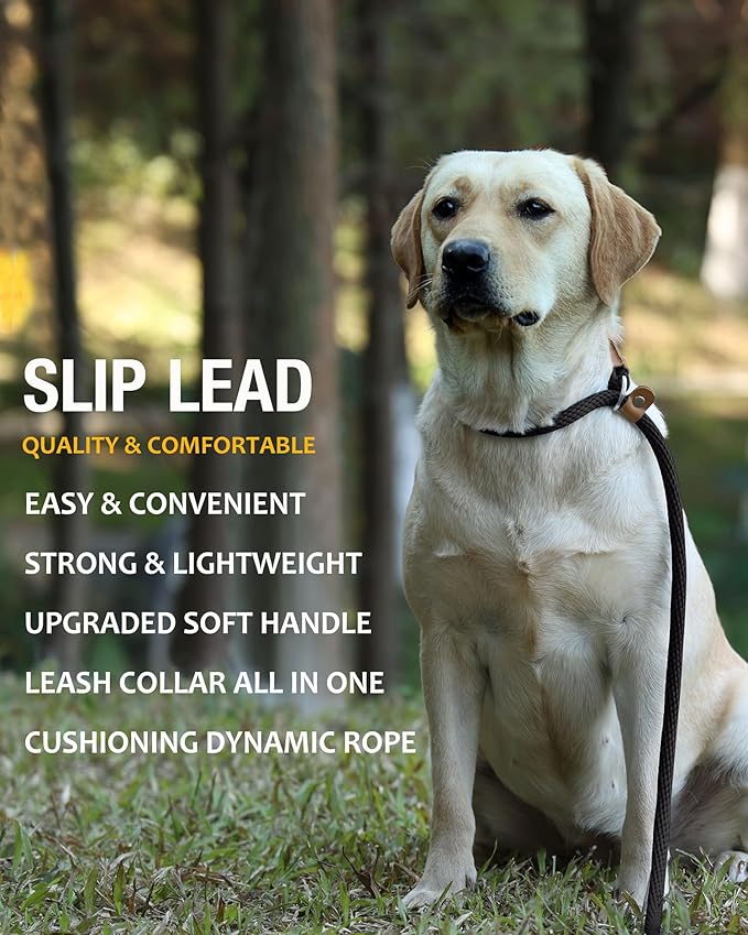 lynxking Slip Lead Dog Leash, 6 FT x 1/2" Heavy Duty Dog Loop Leashes, Comfortable Strong Rope Slip Leash for Dogs