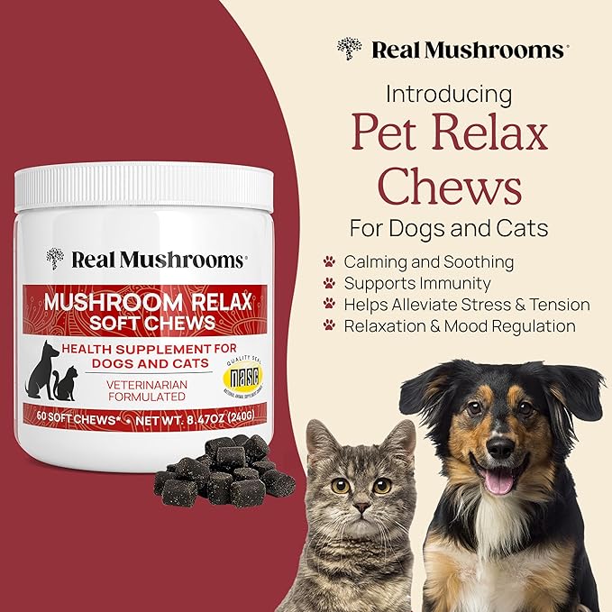 Calming Chews for Dogs & Cats – Soft Chews with Reishi & Lion’s Mane for Daily Composure – for All Breeds & Sizes – Calming Treats for Dogs: 1 Chew/20 lb Daily; Cats: ¼ Chew Twice Daily – 60 Count