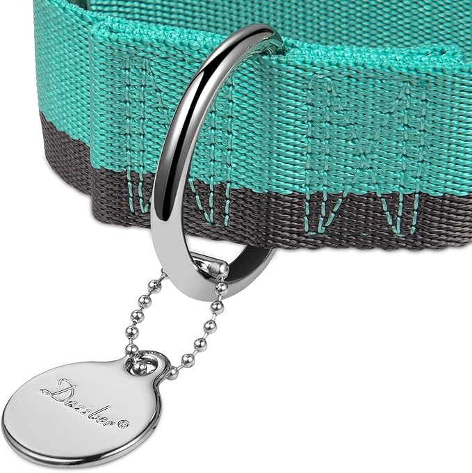 Martingale Collar 1.5 Inch Wide 1200D Extra Strong Nylon Dog Collar, No Pull Heavy Duty Dog Collar with 2-Color Stripe for Medium to XLarge Dogs (Large, 1 1/2 Inch Wide, Mint Blue & Grey)