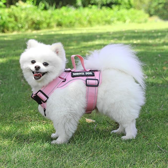 Demigreat Dog Harness, Reflective Vest with 5 Patches, Adjustable Soft Oxford, Inner Mesh, Prevent Pulling, Easy Control for Small Medium Large Dogs