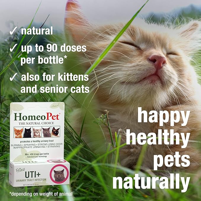 HomeoPet Feline UTI Plus, Safe and Natural Urinary Tract Supplement for Cats, Feline Urinary Tract Support, 15 Milliliters