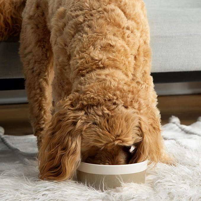 Waggo Dipper Ceramic Dog Bowls - Set of 2 - for Small and Large Breeds - Heavyweight and Durable Pet Food and Water Dish Crock, Dishwasher Safe, Modern (Set of 2, Vintage Grey, Large)