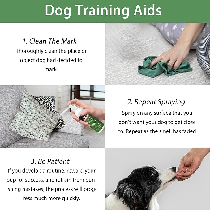No Chew Spray for Dogs, Bitter Spray for Dogs to Stop Chewing Licking of Furniture Shoes, Natural Dog Deterrent Spray for Anti Biting, Puppy Dog Training & Behavior Aids Spray