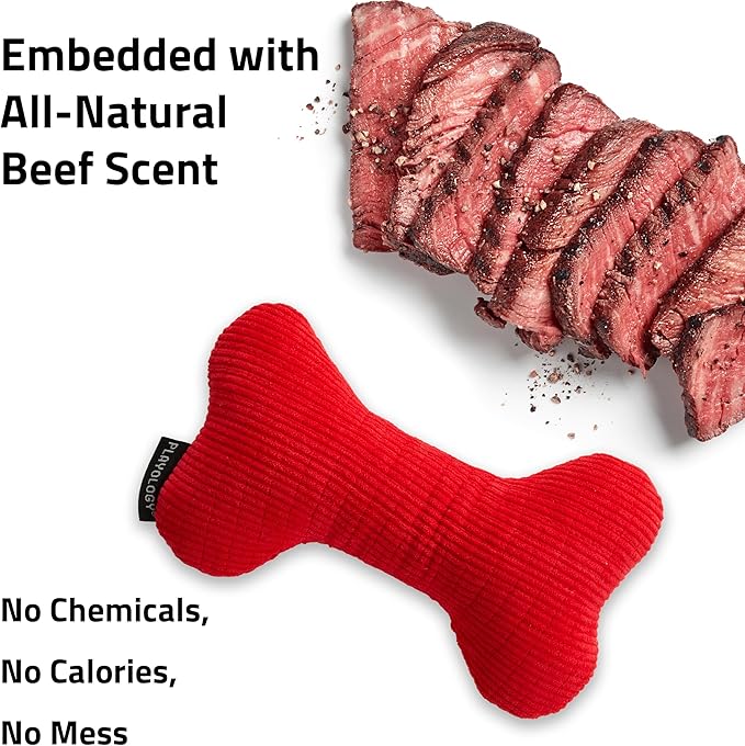 Playology Dog Toys | Plush Squeaky Bone Chew Toy for Dogs | Medium Beef Scented Toy - Easy to Clean and Made from Non Toxic Materials