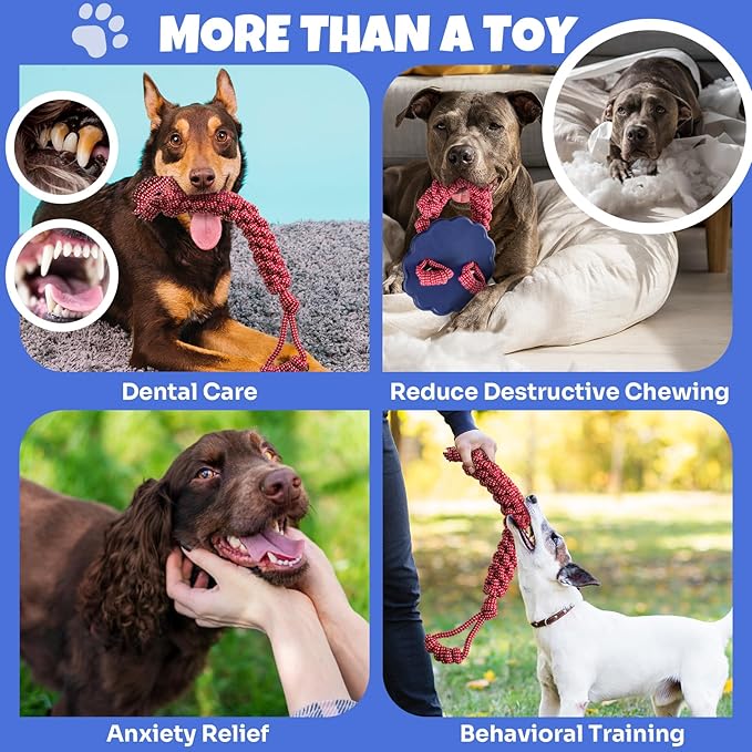 Interactive Dog Frisbee Rope Toy – Tough 2-in-1 Flying Disc & Rope Chew Toy for Medium/Large Dogs, Outdoor Training & Fetching, Blue & Red