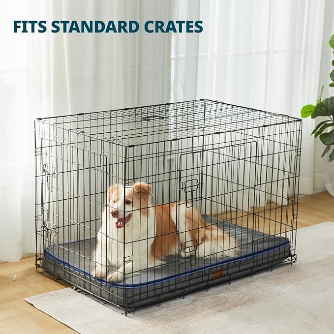 Memory Foam XL Dog Bed - 4” Thick Orthopedic Beds for Extra Large Dogs - Waterproof Dog Bed with Removable Washable Cover & Wrap-Around Zipper - Ultimate Comfort and Easy Maintenance