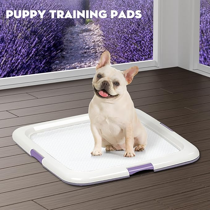 CROCI Puppy Pads 22x22in Small with Adhesive Tabs, Dog Pee Pads Absorbs Up to 3 Cups Potty Training, Disposable (50 Counts)
