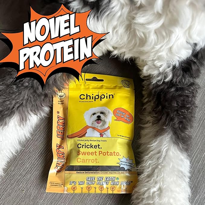 Chippin Soft Dog Treat, Natural Dog Snack, No Chicken, No Beef, Hypoallergenic, Great with Allergies, Made in USA, (5oz, 1-Pack)