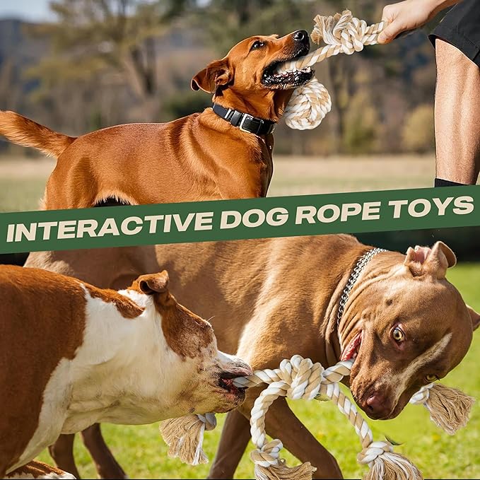 Dog Rope Toy 4 Pack - Dog Rope Toys for Large Dogs - Indestructible Natural Cotton Chew Toys for Aggressive Chewers - Tough Tug of War Dog Toys for Boredom, Teeth Clean