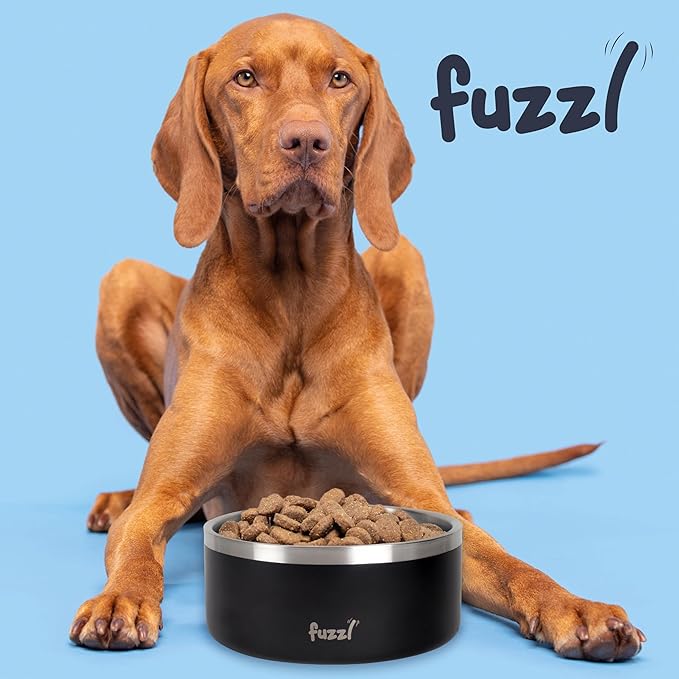 Titan Dog Bowl 8 inch - Matt Black Insultated Thermal Bowl for Indoors and Outdoors with Rubber Base - Versatile Dog Bowls and Water Bowl for Hydration and Feeding for Large and XL Dogs